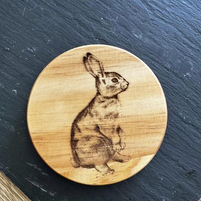 Coaster - Animal designs