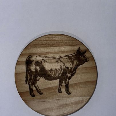 Coaster - Animal designs